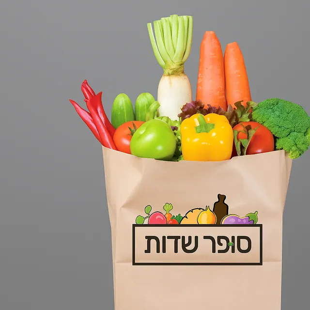 לוגו ועיצוב גרפי של סטודיו אפ